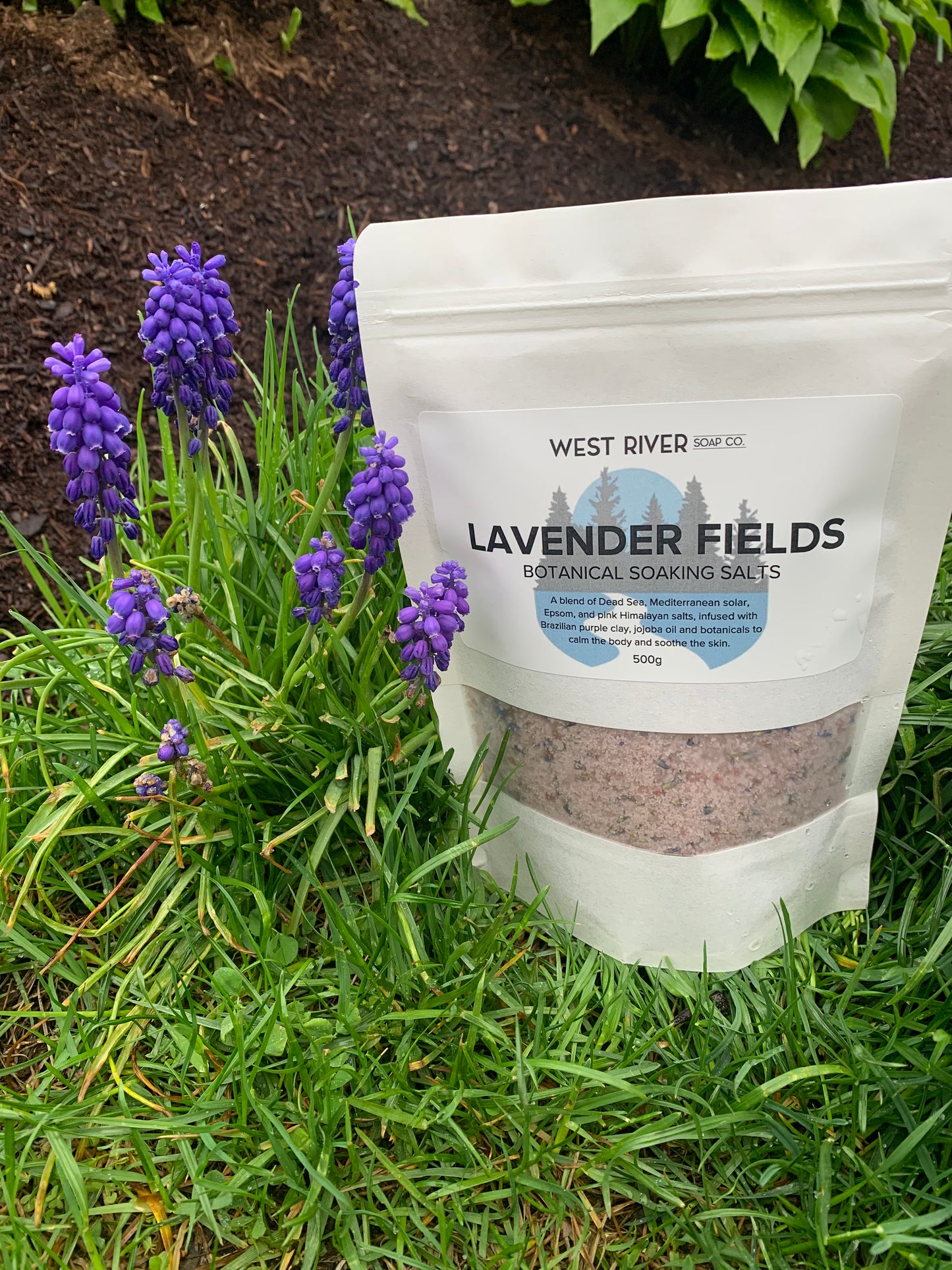 Lavender Fields Soaking Salts