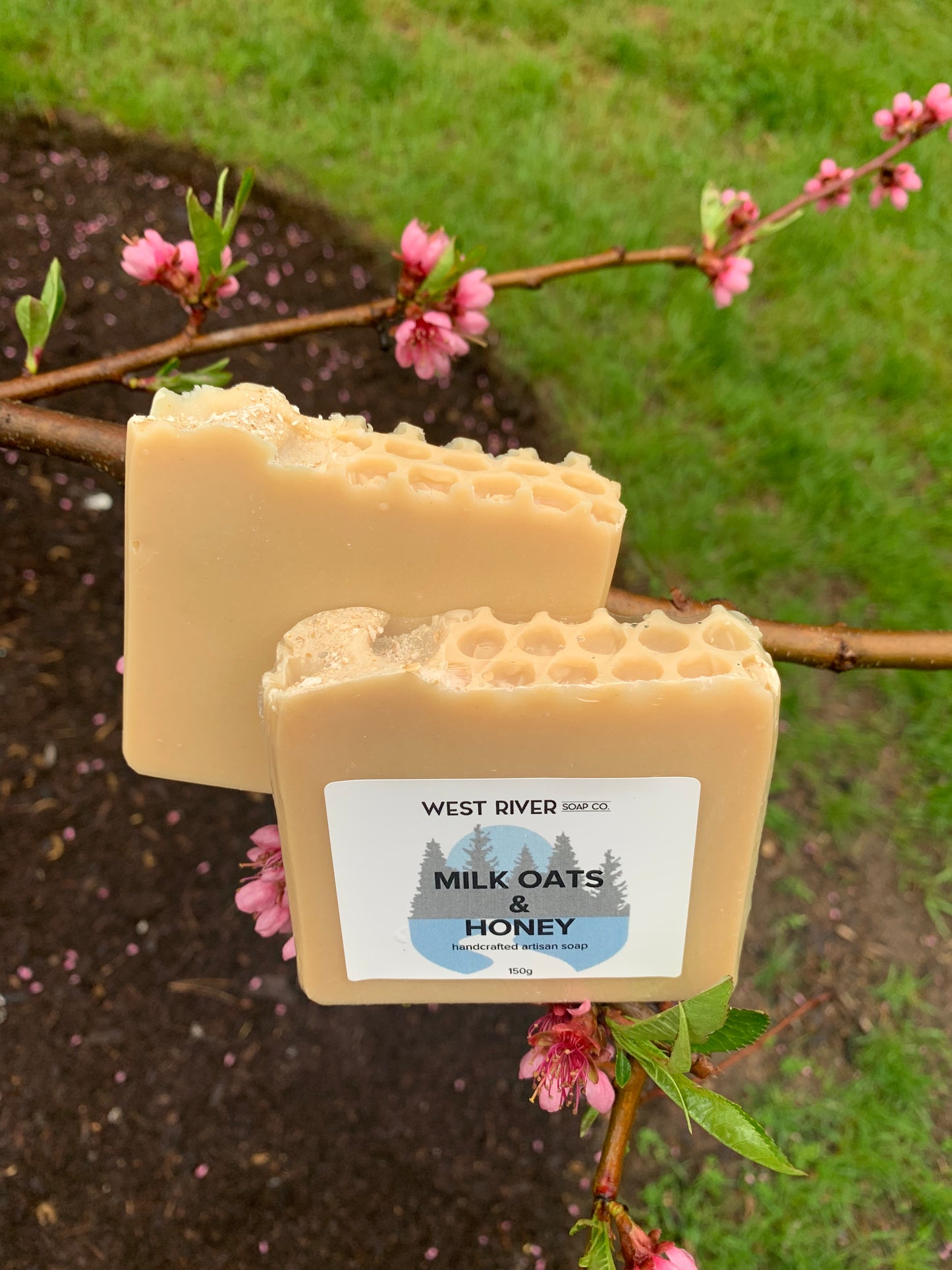 Milk, Oats & Honey Soap Bar