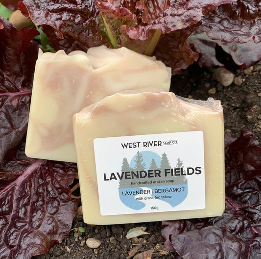 Lavender Fields Soap Bar