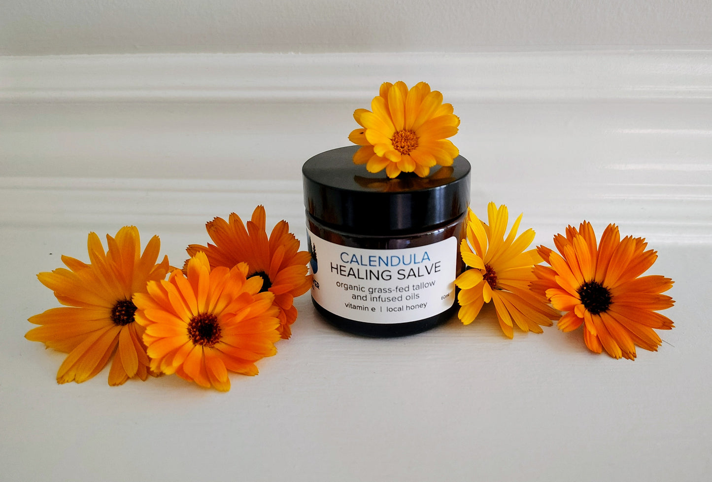 Calendula Tallow Healing Salve