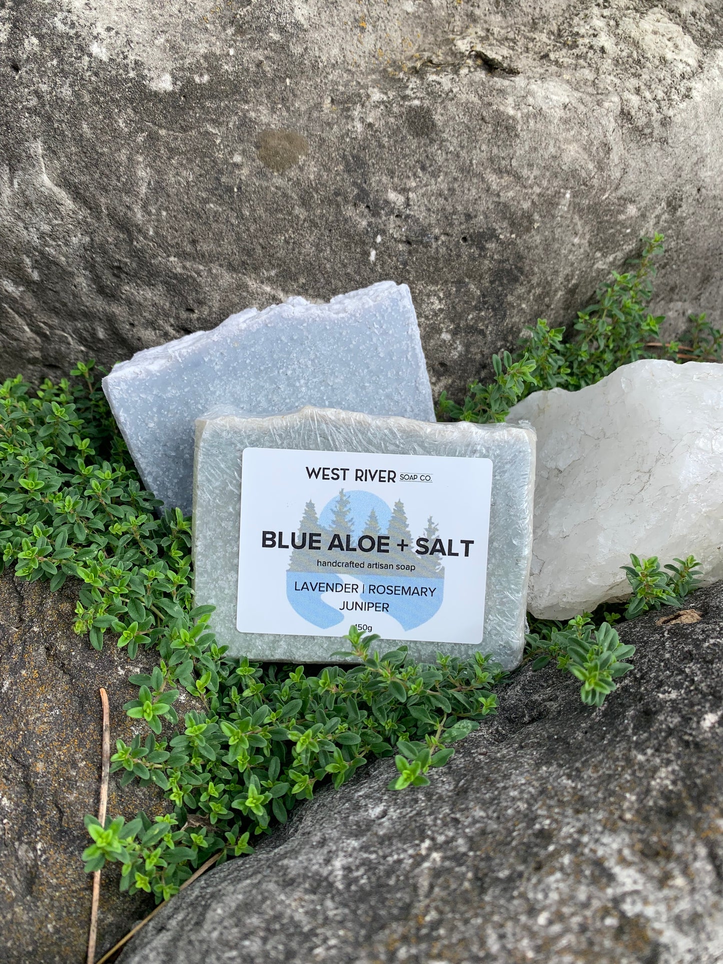 Blue Aloe + Salt Soap Bar