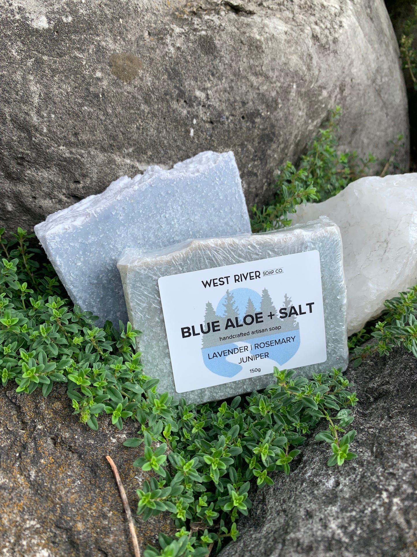 Blue Aloe + Salt Soap Bar