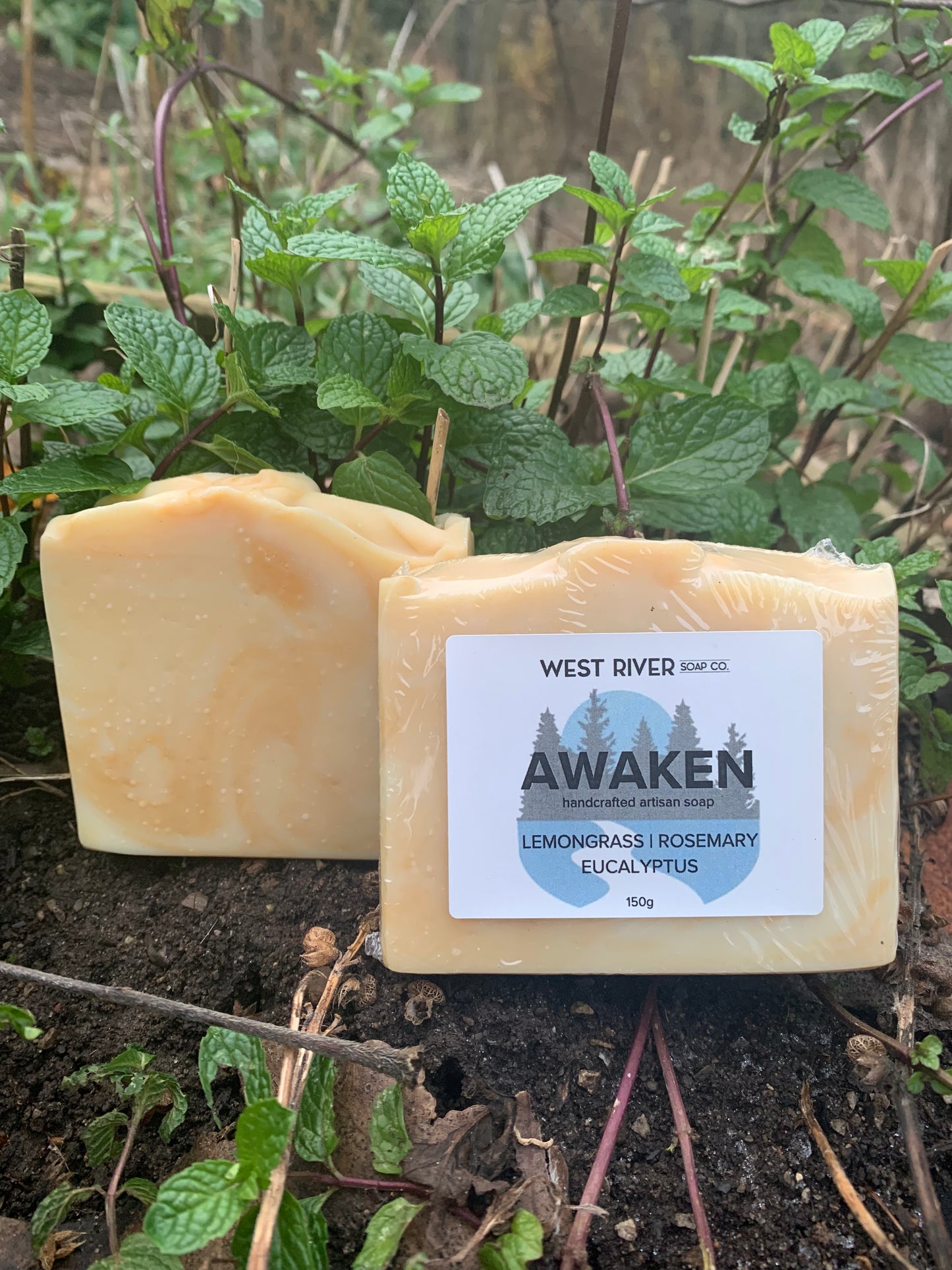 Awaken Soap Bar